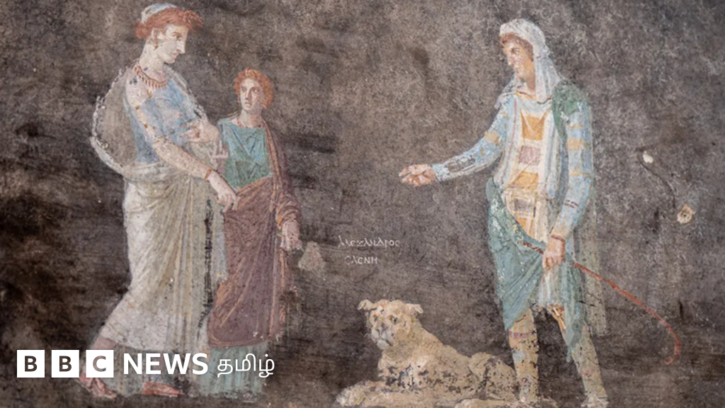 பாம்பேய் நகரம்: ரோமப் பேரரசின் கொடூர முகத்தைக் காட்டிய அகழாய்வு - என்ன கிடைத்தது?