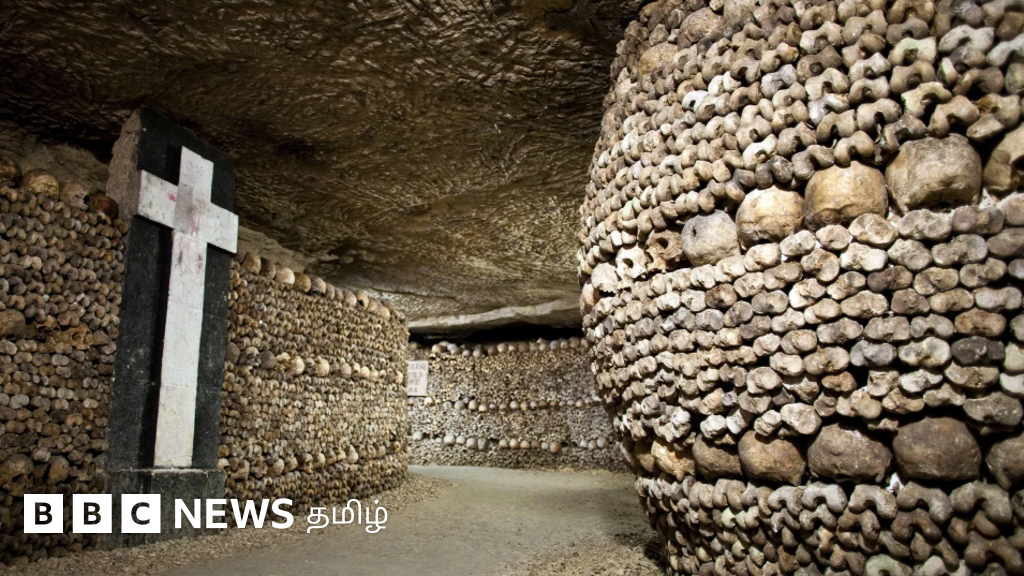 60 லட்சம் மண்டை ஓடு, ஏசுவின் முன்தோல், நெப்போலியனின் அந்தரங்க உறுப்பு, ஐன்ஸ்டீனின் மூளை - இவற்றைக் காண மக்கள் ஆர்வம் காட்டுவது ஏன்?