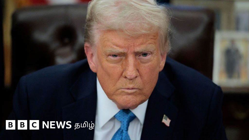 அமெரிக்கா: பிறப்பின் அடிப்படையில் குடியுரிமை வழங்க தடை விதிக்கும் டிரம்ப் - பிற நாடுகளில் என்ன நிலை?