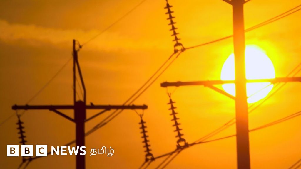 தமிழ்நாட்டில் வெப்ப அலை வீசுமா? இந்தியா முழுவதும் இந்த ஆண்டு வெயில் அதிகரிக்க காரணம் என்ன?