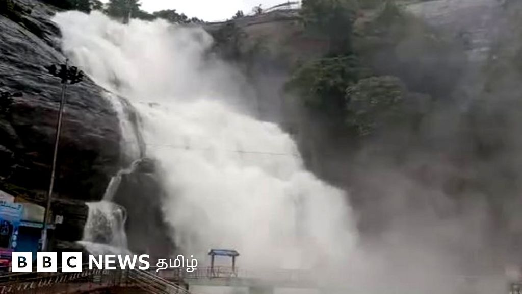 தென் மேற்கு பருவமழை: தமிழக ஆறுகளில் வெள்ளம் - கள நிலவரம்