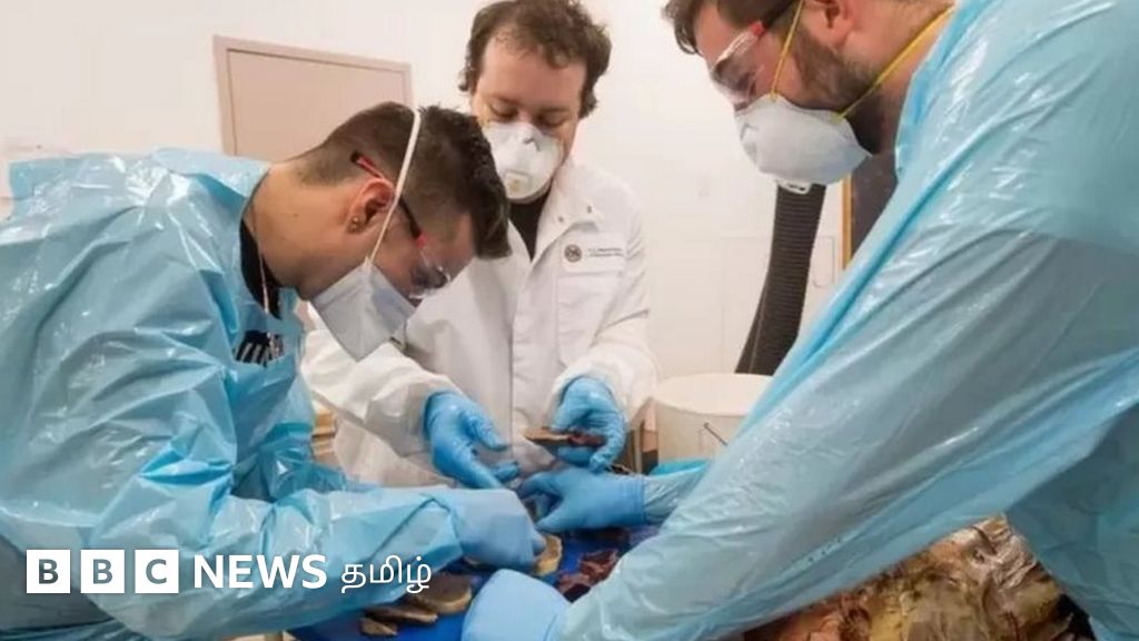 பாகிஸ்தான் மருத்துவனை மாடியில் அழுகிய நிலையில் சடலங்கள்