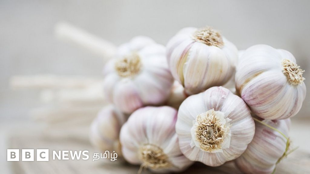 உணவும் உடல் நலமும்: பூண்டு, பீட்ரூட் மற்றும் தர்பூசணி - ரத்த அழுத்தத்தை சாதாரணமாக வைத்திருப்பதில் உதவுகிறதா?