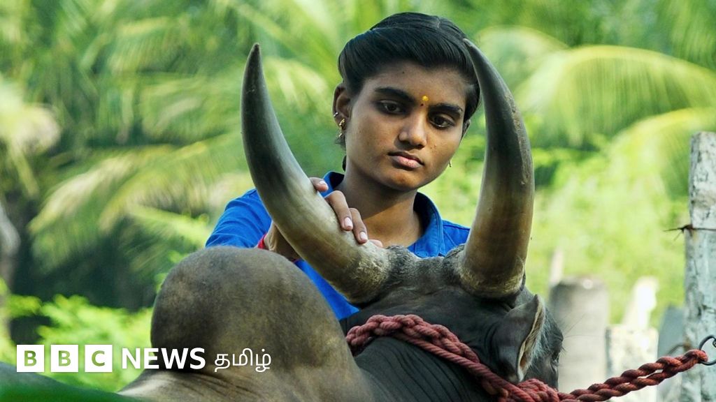 ஜல்லிக்கட்டு ஆறுதல் பரிசை வாங்க மறுத்த மதுரை மாணவி: இந்த ஆண்டு என்ன செய்கிறார் தெரியுமா?