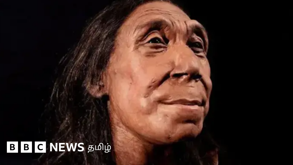 நியாண்டர்தால் மக்களுக்கு உதவும் குணம் இருந்ததா? 40,000 ஆண்டுகள் முன் வாழ்ந்த சிறுமியின் காது எலும்பு சொல்வது என்ன?