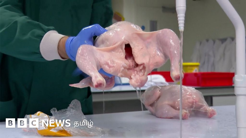 கோழி இறைச்சியை வீட்டில் கழுவுவது ஏன் மிகவும் ஆபத்தானது தெரியுமா?