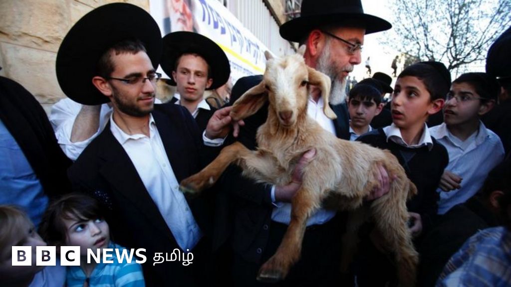 ஜெருசலேம் அல்-அக்ஸா மசூதியில் யூதர்கள் ஆட்டை பலியிட விரும்புவது ஏன்?