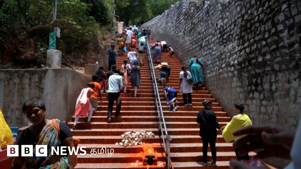 திருப்பதி நடைபாதையில் சிறுத்தை தாக்கி சிறுமி பலி: வேலி அமைப்பது தீர்வாகுமா? கள நிலவரம்
