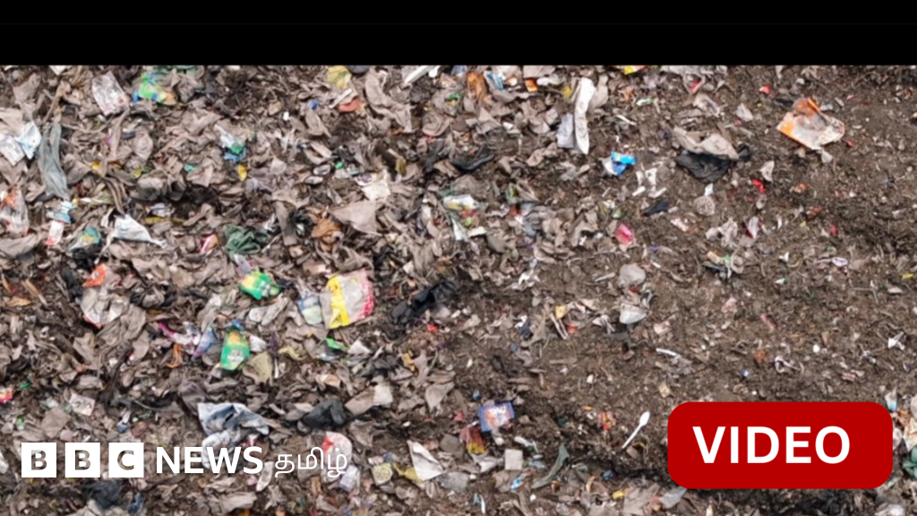 கும்பமேளாவில் குவிந்த குப்பை எங்கே சென்றது தெரியுமா? பிபிசி ஆய்வில் தெரியவந்த உண்மை 