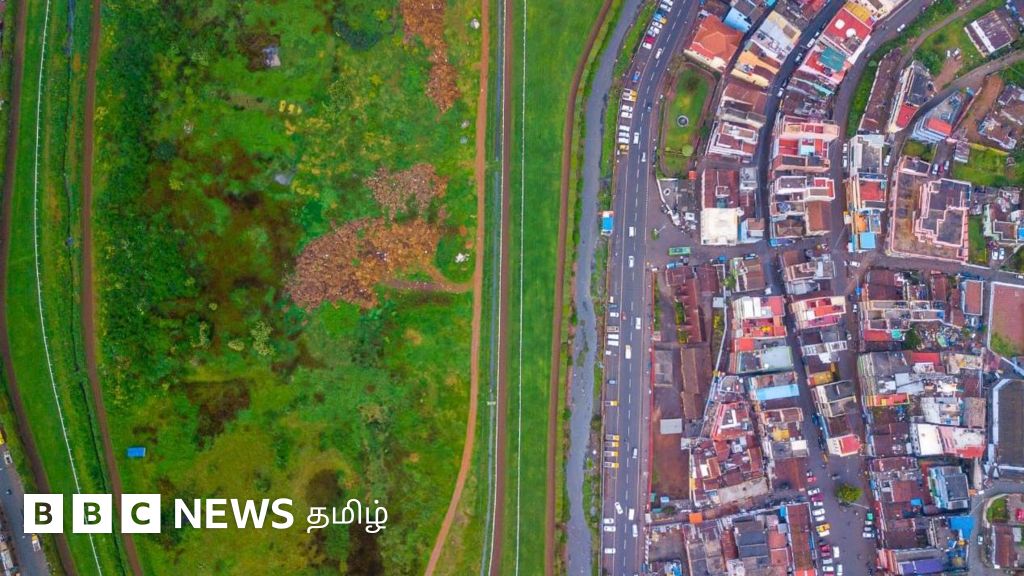 உதகை ரேஸ்கோர்ஸ் மைதானத்தில் ரூ.70 கோடியில் பூங்கா - புதிய மரங்களை வளர்த்தால் நிலம் வீணாகிவிடுமா?