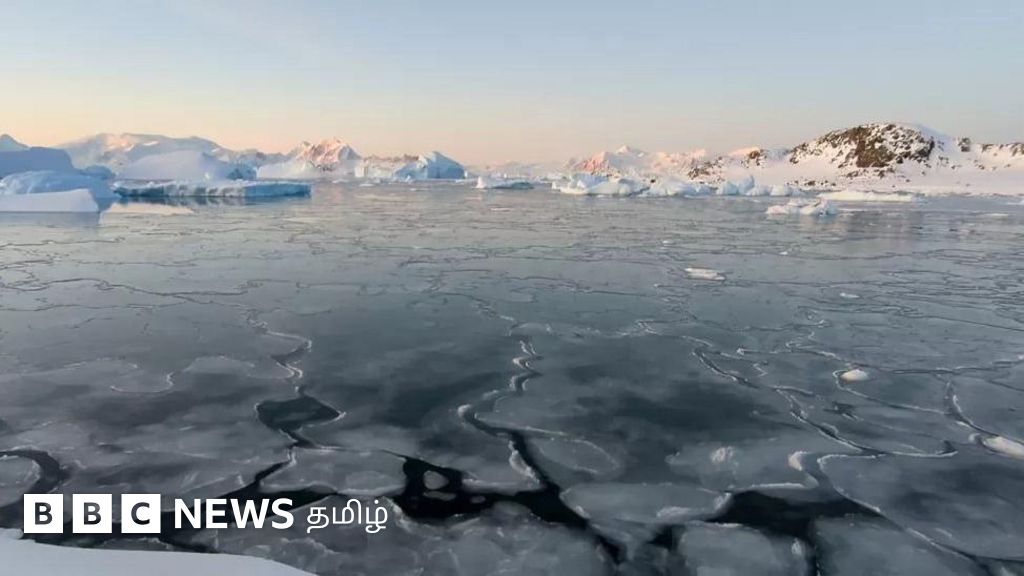 அண்டார்டிகா: பூமியின் குளிர்சாதனப் பெட்டி ரேடியேட்டராக மாறுகிறதா? 
