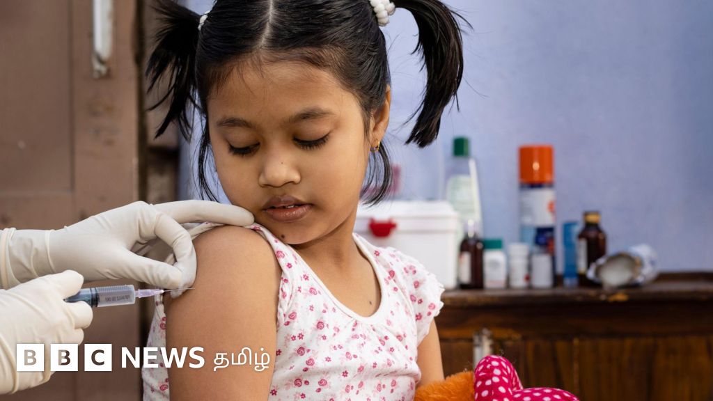 வேலூரில் முதன்முறையாக பரவிய ஜப்பானிய மூளைக்காய்ச்சலுக்கு தடுப்பூசி - யாருக்கு செலுத்த வேண்டும்?