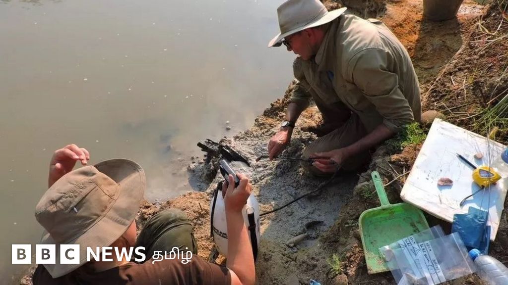 மனிதன் பயன்படுத்திய ஐந்து லட்சம் ஆண்டுகள் பழமையான மரக்கட்டைகள் - வரலாற்றை புரட்டிப்போடும் கண்டுபிடிப்பு