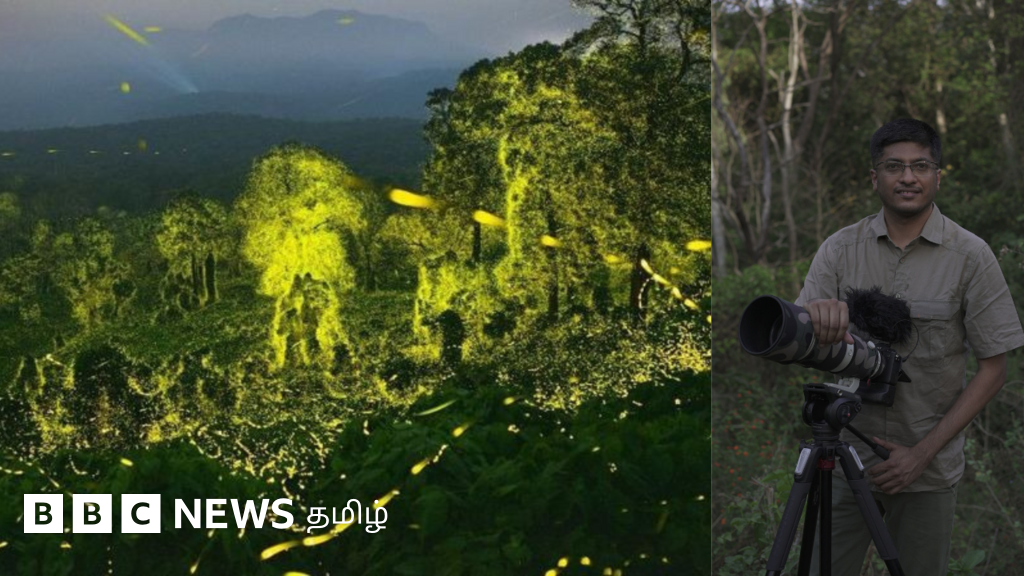 ஆனைமலையில் மின்மினி பூச்சிகளின் ஒத்திசைவு நடனத்தை இவர் படமெடுத்தது எப்படி? 