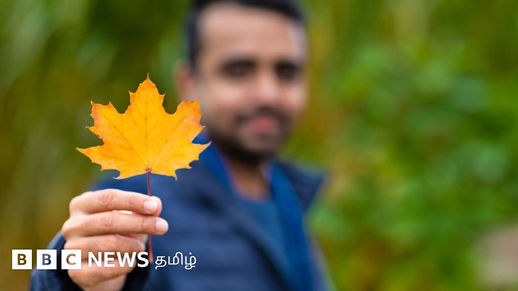 H-1B விசா கட்டண உயர்வு: கனடா ஓர் மாற்றாக இருக்குமா? சவால்கள் என்ன?