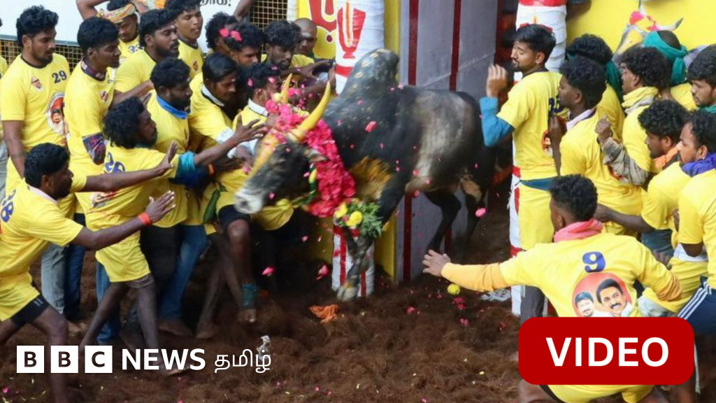 அவனியாபுரம் ஜல்லிக்கட்டு: 5 சிறப்பான சம்பவங்கள்