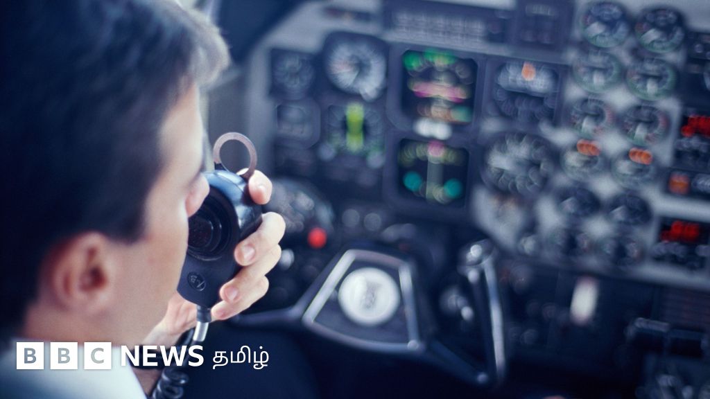 விமானத்தில் பறவைகள் மோதினால் என்ன நடக்கும்? விபத்து ஏற்படுவது ஏன்? - விளக்கும் விமானி