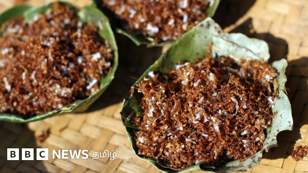 சிவப்பு எறும்பு சட்னிக்கு புவிசார் குறியீடு: ஒடிசா பழங்குடிகளின் புதரச்சத்து மிக்க பிரதான உணவு