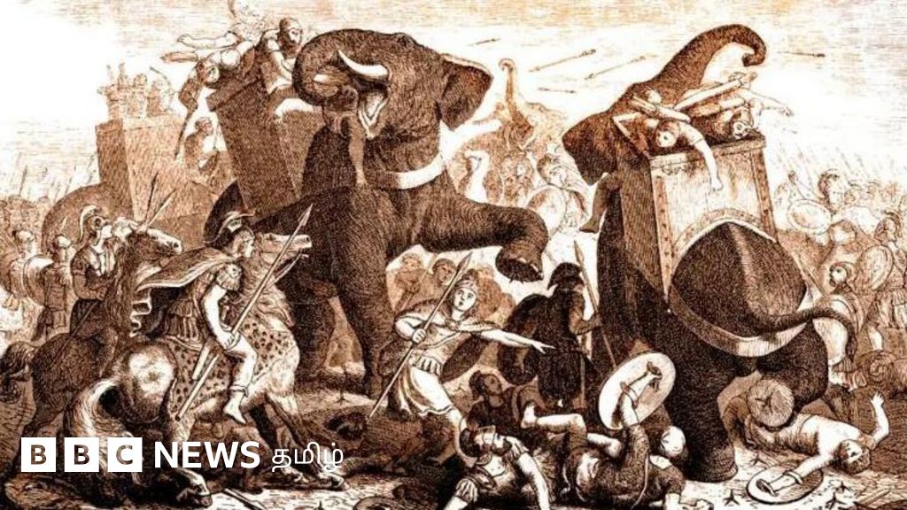 உலகை வெல்ல புறப்பட்ட அலெக்சாண்டருக்கு கடும் சவால் கொடுத்த 'காஸா' - போரின் முடிவில் நடந்த கொடூரம் 