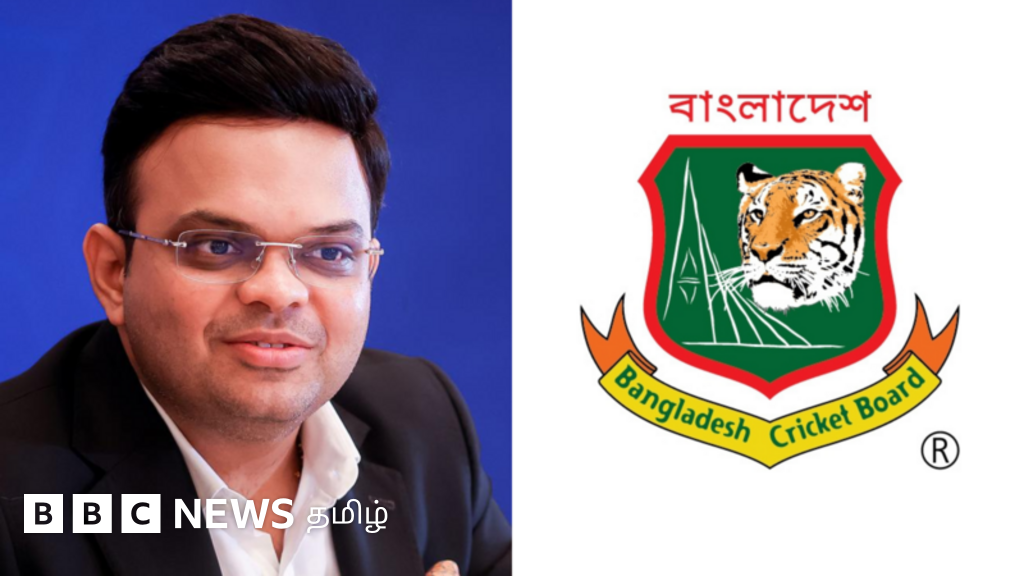 தெற்காசிய அரசியலால் கிரிக்கெட் பாதிக்கப்படுகிறதா? - சர்வதேச நிபுணர்களின் பார்வை