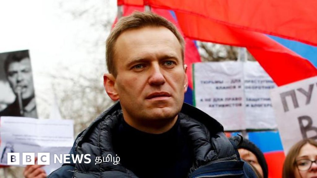 அலக்ஸே நவால்னி: ரஷ்ய அதிபர் புதினை அச்சுறுத்திய இவர் யார்? எதிர்கொண்ட பிரச்னைகள் என்ன?