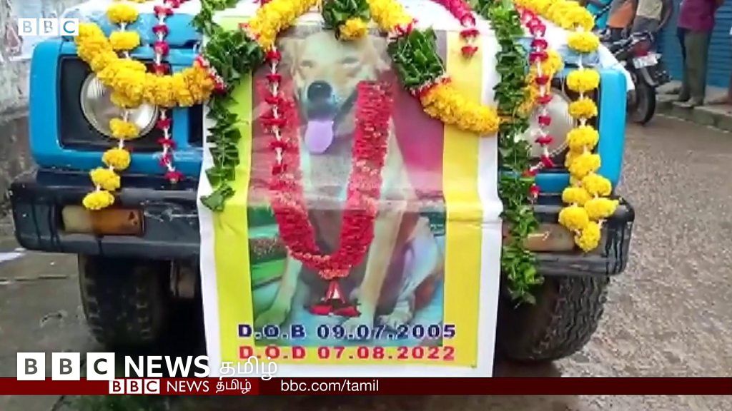 இறந்த நாய்க்கு மேளதாளத்துடன் இறுதி ஊர்வலம் நடத்திய குடும்பம்