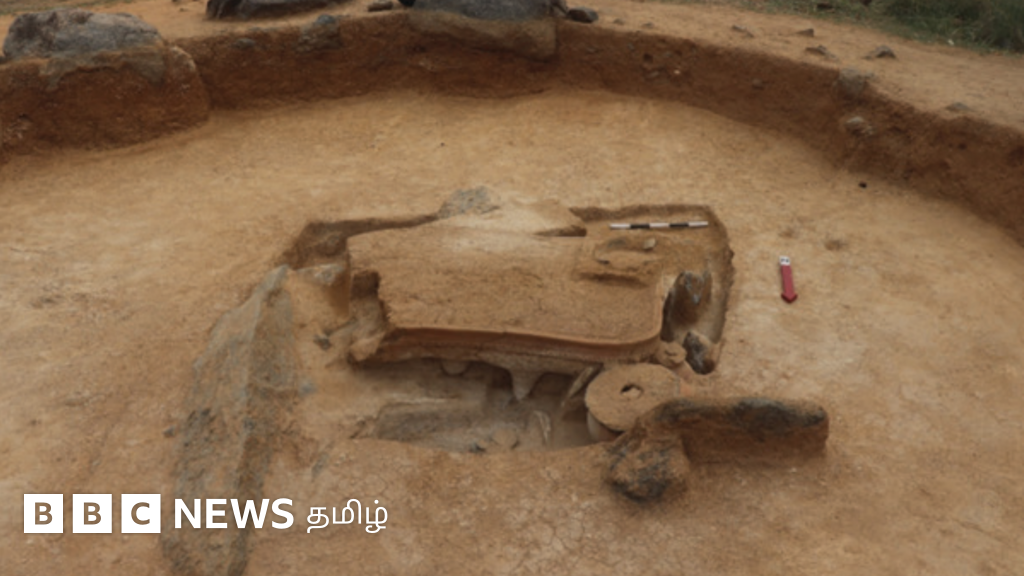 கீழ்நமண்டி: திருவண்ணாமலைக்கும் சிந்துச் சமவெளிக்கும் என்ன தொடர்பு? - ஆச்சர்யப்படுத்தும் ஆய்வு முடிவுகள்