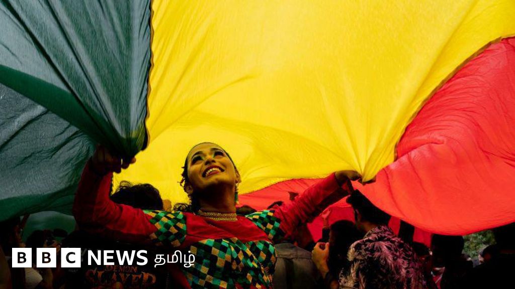 தன்பாலின திருமணம்: உச்ச நீதிமன்ற தீர்ப்பில் LGBTQ+ மகிழும்படி என்ன இருக்கிறது? 
