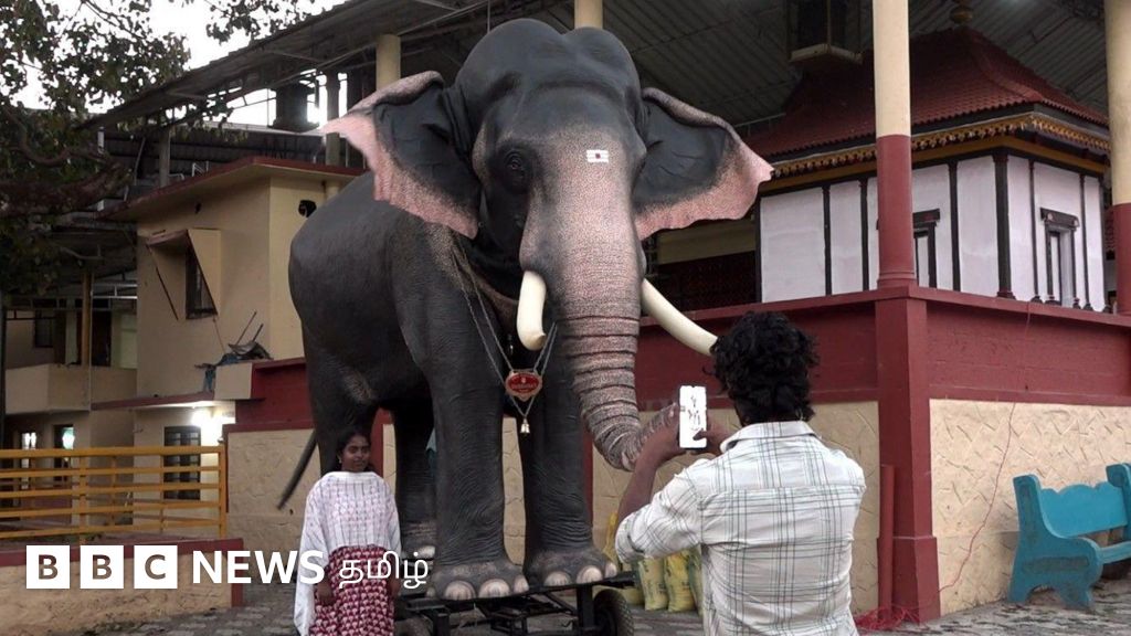 நீலகிரி கோவிலில் பக்தர்களைக் கவரும் இயந்திர யானை – காணொளி