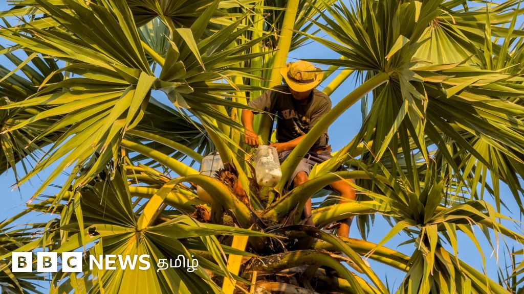 கள் போதைப் பொருளா அல்லது உணவுப்பொருளா? குழந்தைகளும் அதை குடிக்கலாமா?