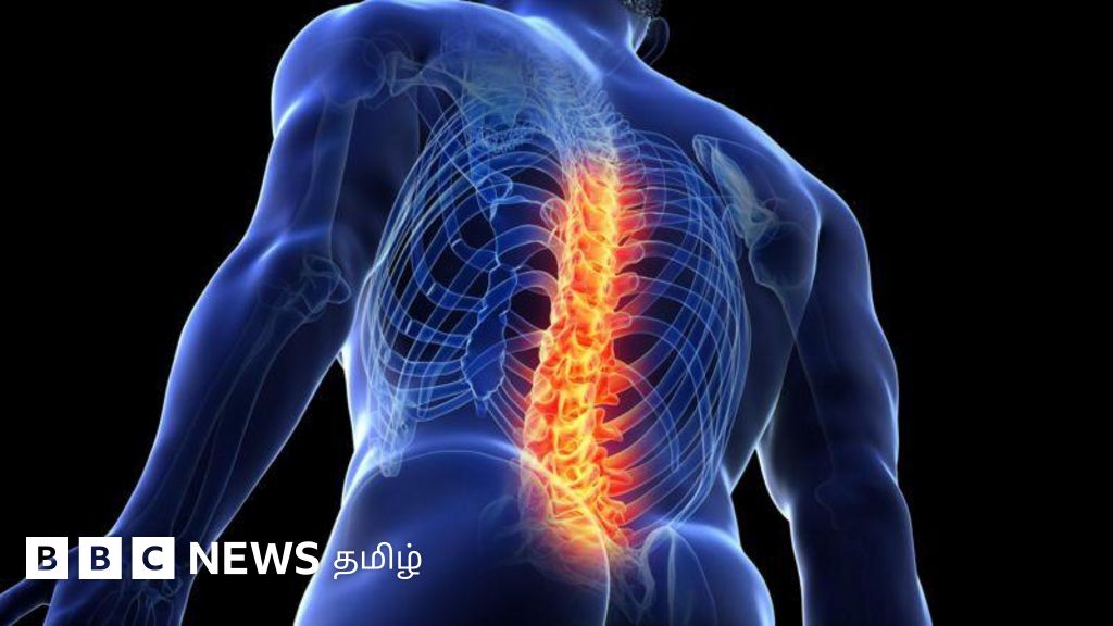 கீழ் முதுகு வலியில் இருந்து மீள என்ன வழி? பெண்களின் மாதவிடாய் கால முதுகு வலிக்கு தீர்வு என்ன?