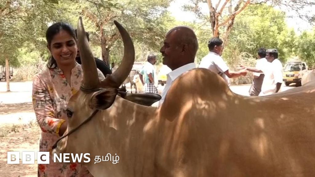 திருப்பூரில் இயங்கும் 'அறிவியல்பூர்வ மாட்டுச் சந்தை' - வீடியோ