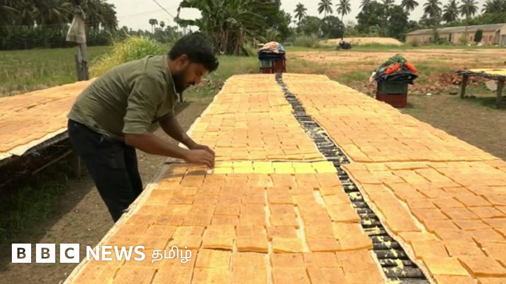 ஆந்திரா மக்களுக்கு வாழ்வளிக்கும் மாம்பழ சீசன் - நூற்றுக்கணக்கான மாம்பழங்கள் ‘மேங்கோ ஜெல்லி’ ஆவது எப்படி?