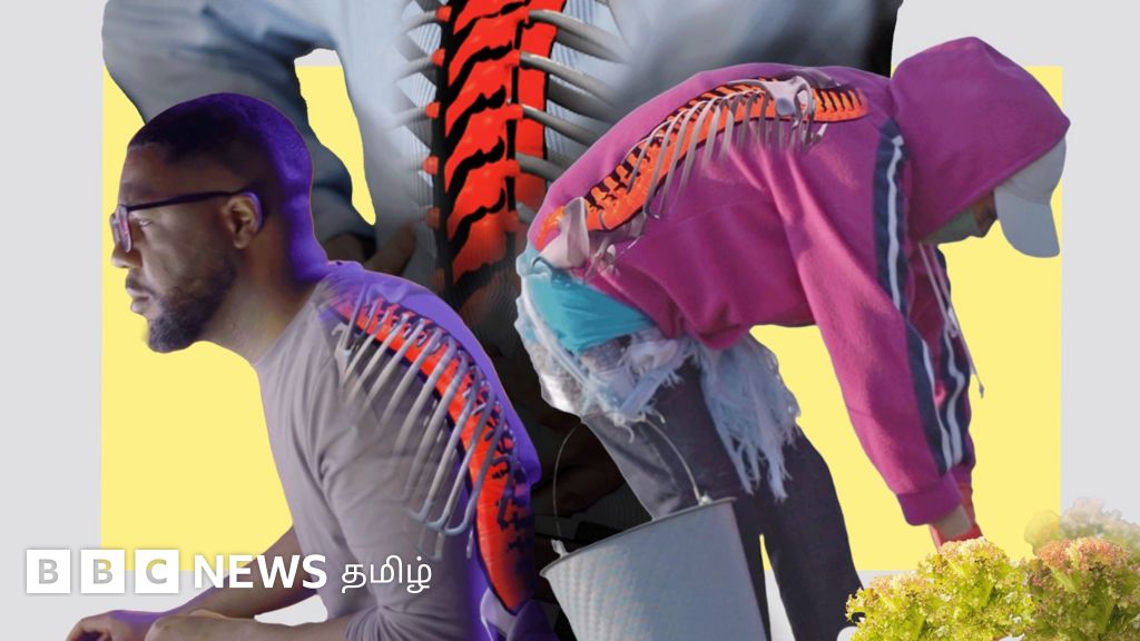 முதுகு வலி வராமல் தடுக்கவும் வந்தால் சமாளிக்கவும் நீங்கள் அறிய வேண்டிய 5 முக்கிய விஷயங்கள்