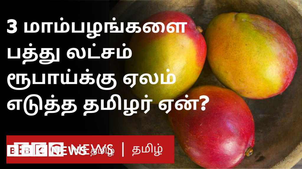 10 லட்சம் ருபாய்க்கு மூன்று மாம்பழங்களை ஏலம் எடுத்த தமிழர்: எங்கே? எப்படி?