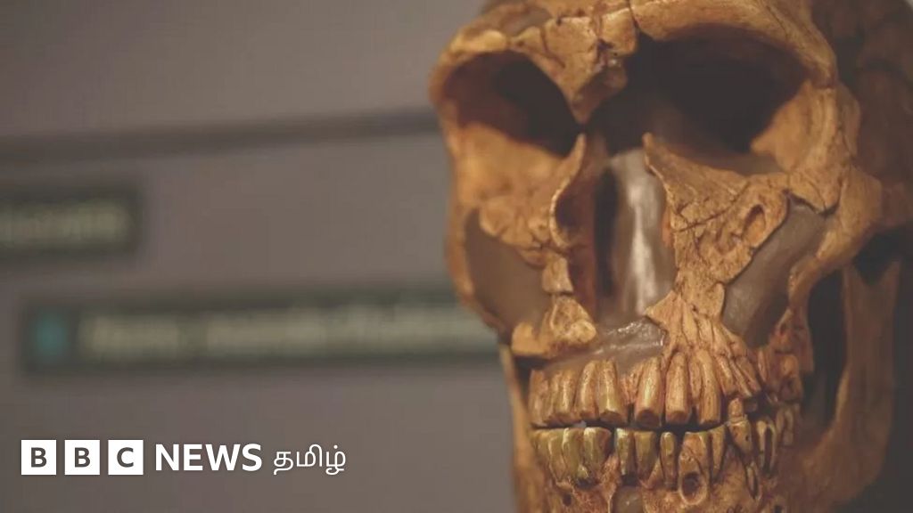 மருத்துவ துறையில் நோபல் பரிசு பெற்ற ஸ்வாந்தே பாபோ - நியாண்டர்தால் மனித இனம் குறித்து இவர் கண்டறிந்தது என்ன?