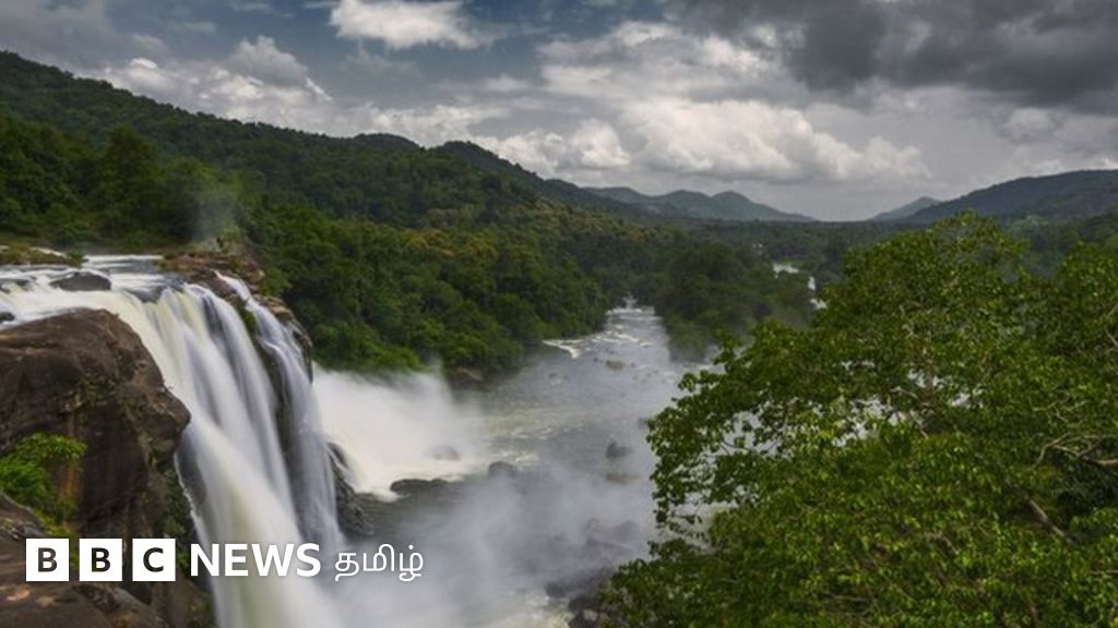 மேற்குத் தொடர்ச்சி மலை: மாதவ் காட்கில் பரிந்துரைகளை நீர்த்துப் போகச் செய்கிறதா கஸ்தூரி ரங்கன் அறிக்கை?