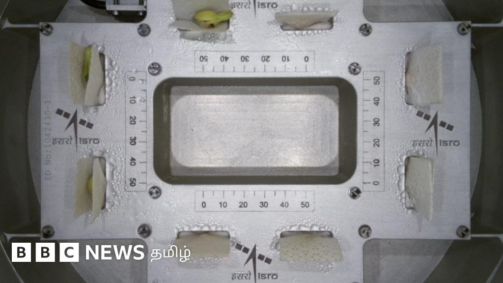 புவி ஈர்ப்பு விசை இல்லாத விண்வெளியில் துளிர் விட்ட தட்டைப்பயறு - இஸ்ரோ சாதித்தது எப்படி?