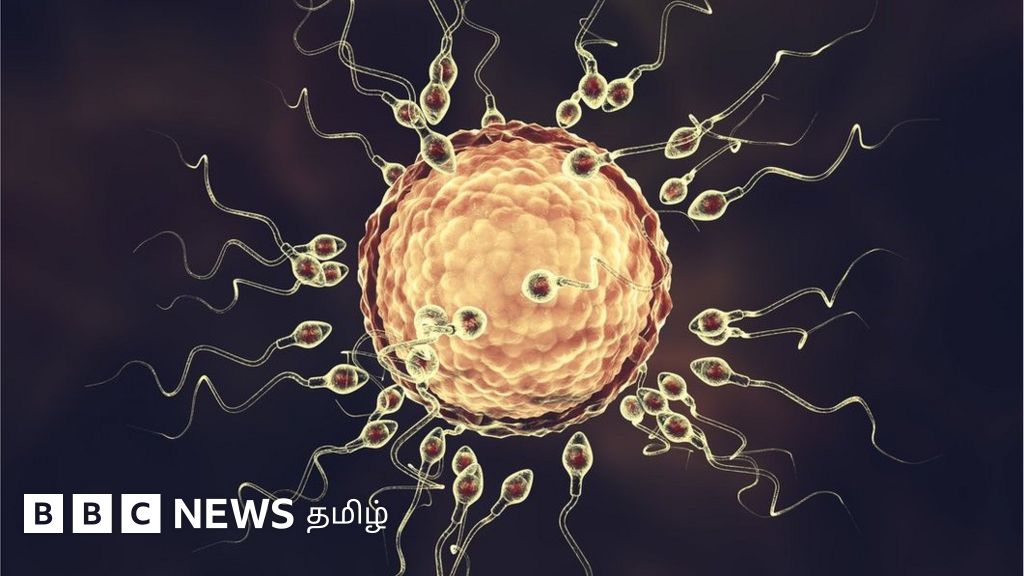 ஈரோடு சிறுமி கரு முட்டை விற்பனை: 4 மருத்துவமனைகளும் நிரந்தரமாக மூடப்படும் - மா.சுப்ரமணியன்