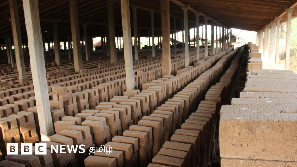 கோவையில் சீல் வைக்கப்பட்ட 177 செங்கல் சூளைகள்: வீட்டு மின்சாரத்தில் செயல்படுகின்றனவா? - கள நிலவரம்