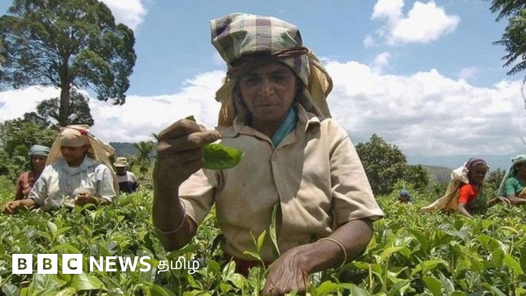 இலங்கையில் மலையகத் தமிழர்களின் வாழ்க்கை நிலை இழிவாக இருப்பதாக ஐநாவின் வெளியான அதிர்ச்சி தகவல்