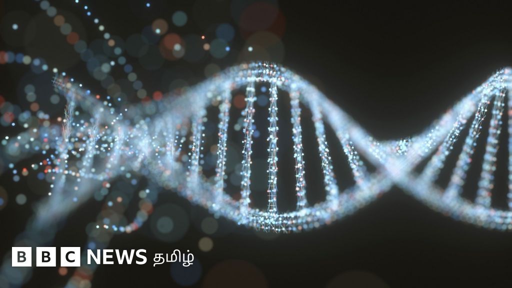 அறிவியல் ஆராய்ச்சி: ஹார்ட் டிஸ்குகளுக்கு பதில் டி.என்.ஏ-வில் தரவுகளை சேமிப்பதற்கான ஆய்வில் முன்னேற்றம்