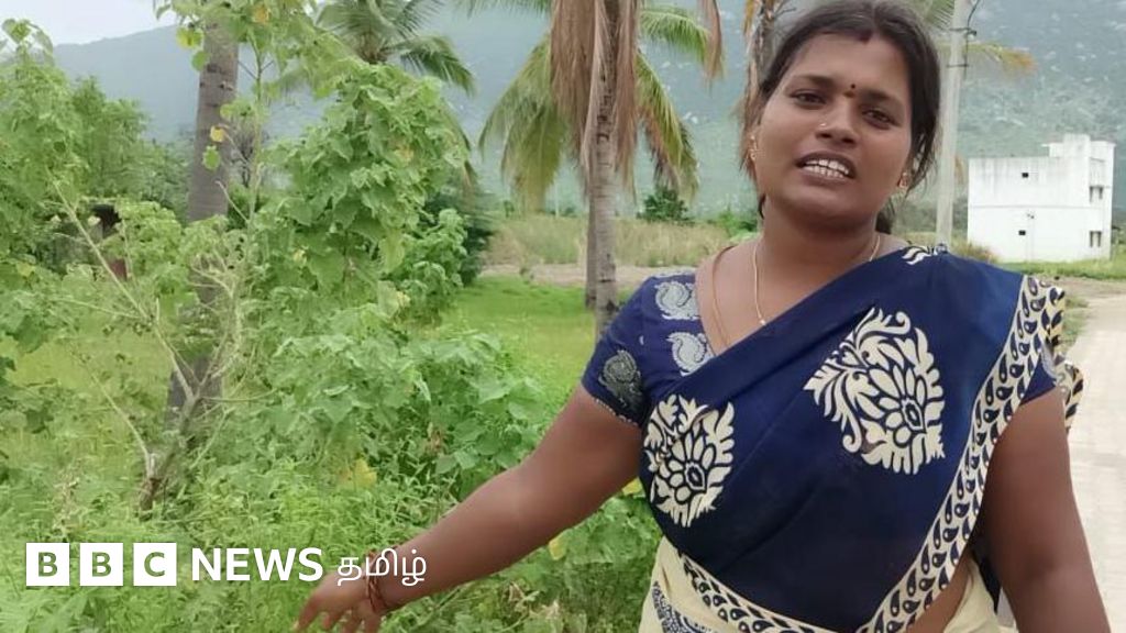 தமிழ்நாட்டில் விவசாயத்தை அழிக்கும் பூனைவால் கோரைப் புல்