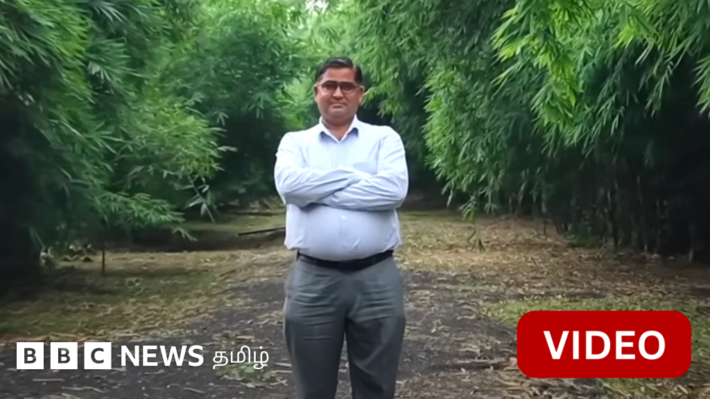 காணொளி: தரிசு நிலத்தை மூங்கில் காடாக மாற்றிய விஞ்ஞானி - எப்படி சாத்தியமானது?