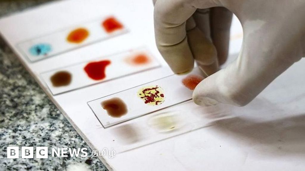 ஆய்வகத்தில் 'தங்க' ரத்தத்தை உருவாக்க விஞ்ஞானிகள் முயற்சிப்பது ஏன்? 