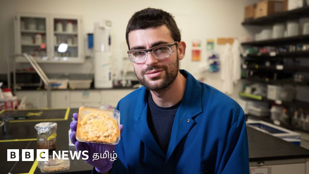 பூஞ்சை உதவியுடன் உணவுக் கழிவுகளை தங்க நிறத்தில் சுவைமிக்க உணவாக மாற்றும் சமையல் கலைஞர்