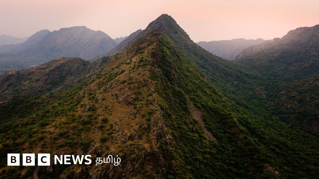 ஆரவல்லி மலைத்தொடரை பாதுகாக்க ஒன்றுகூடிய மக்கள் - மத்திய அரசு சொல்வது என்ன?