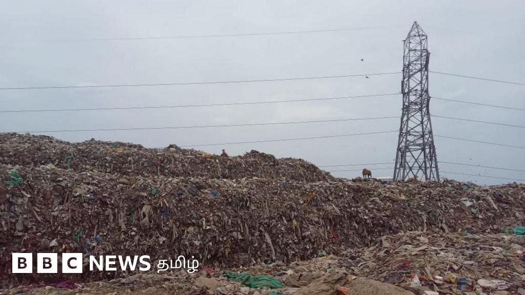 பெருங்குடி குப்பைக் கிடங்கு: பசுமைப் பூங்கா அமைப்பதால் பள்ளிக்கரணைக்கு பேரழிவா? 