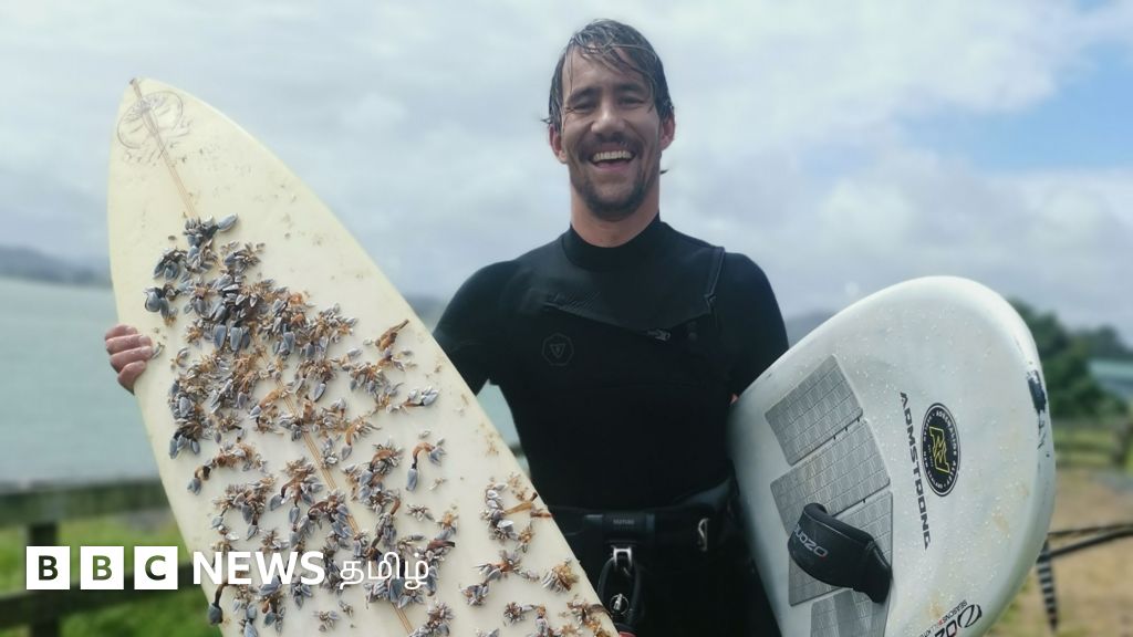 கடலில் தொலைந்த அலைச்சறுக்கு பலகை: 2,400 கிலோ மீட்டர் தூரத்தில் கண்டுபிடிக்கப்பட்டது எப்படி?