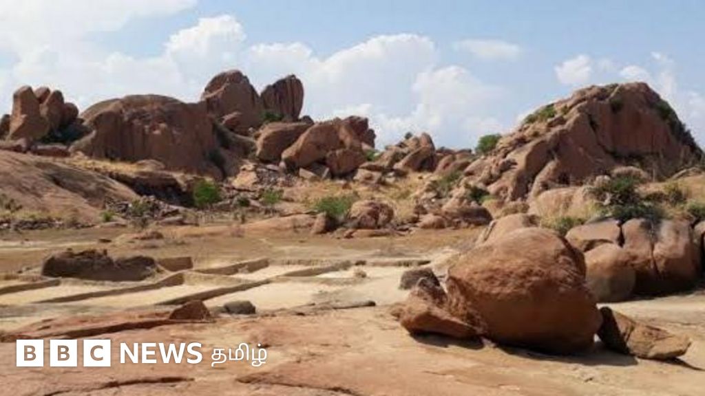 மதுரை டங்ஸ்டன் சுரங்க திட்டம்: மத்திய அரசின் மறுஆய்வு முடிவால் என்ன நடக்கும்? சுற்றுச்சூழல் நிபுணர்கள் தகவல்